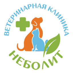 Приём ветеринара в Перми