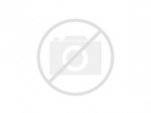 Ветеринарные услуги для всех домашних животных