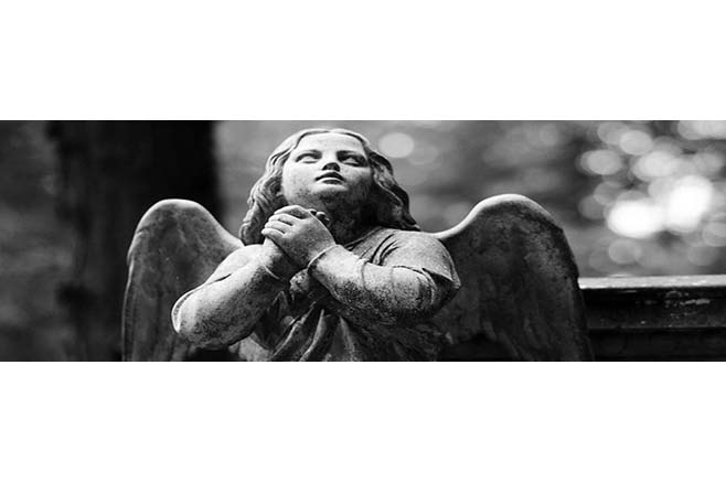 ИП Медведев Георгий Станиславович