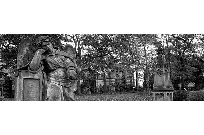 ИП Медведев Георгий Станиславович