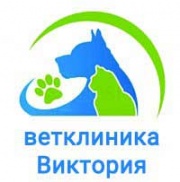 ВЕТСЕРВИС ветеринарная клиника (ВИКТОРИЯ ветеринарная клиника) ВЕТСЕРВИС ветеринарная клиника (ВИКТОРИЯ ветеринарная клиника)