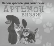 Артемон-визаж салон красоты для животных Артемон-визаж салон красоты для животных