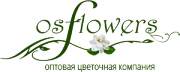Свежесрезанные цветы оптом. Оптовая цветочная компания OSFlowers (ОСФлауэрс) Свежесрезанные цветы оптом. Оптовая цветочная компания OSFlowers (ОСФлауэрс)