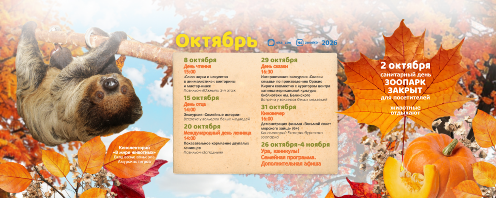 Афиша, зоопарк, октябрь.jpg Афиша, зоопарк, октябрь.jpg