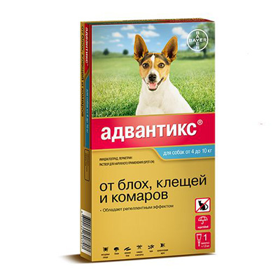 Акция компании Львина Акция компании Львина