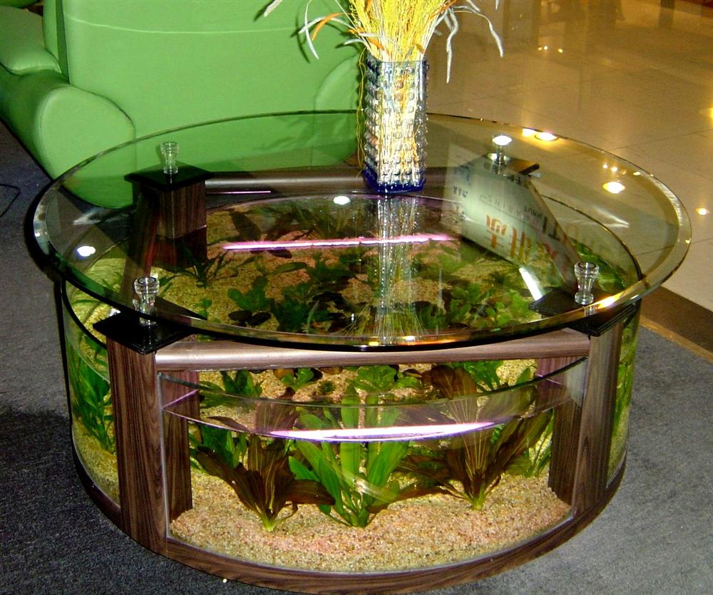 Купить аквариум