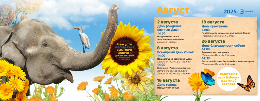 Зоопарк, афиша, август Зоопарк, афиша, август