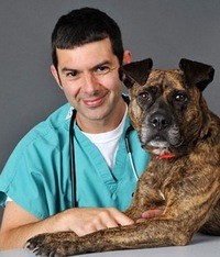 Ветеринар в Перми