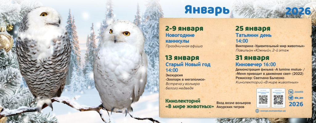 Афиша зоопарк, январь 2026.jpg