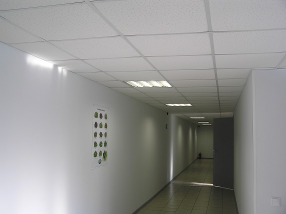P2140185.JPG
