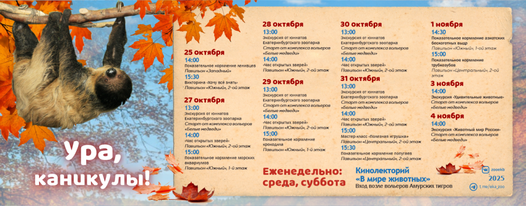 osennie-kanikuly-sayt-_1_.png osennie-kanikuly-sayt-_1_.png